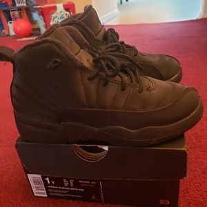 Jordan 12 winterizer